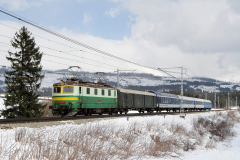 E 499.1018